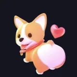 コーギー