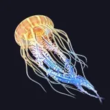 光るクラゲ