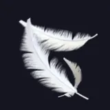 羽根