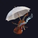 雨の中のショパン