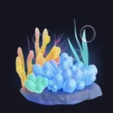 サンゴ