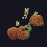ミツバチとギターを鳴らす