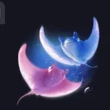 エイのセレナーデ