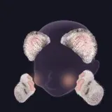 顔をつねる