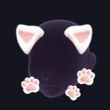 子猫になる