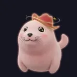 星がきらめくアザラシ