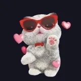 ふみふみする子猫