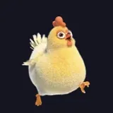 いたずら好きな鶏