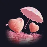 ラブシェルター